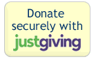 Donate Online button